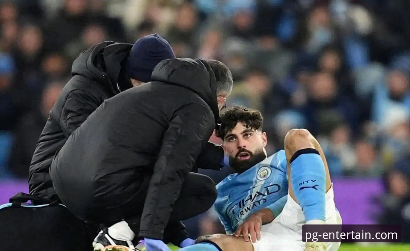 PG娱乐手机登录安全吗 帕尼切利重伤事件对阿根廷世界杯前景的深度分析:数据、战术与不可预测性