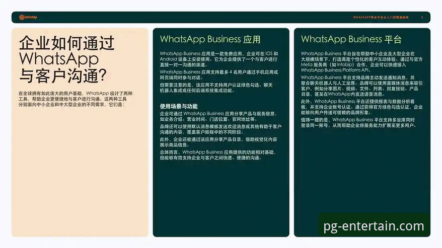 揭秘PG娱乐平台2026新版：资深玩家亲授从下载到精通的完整教程